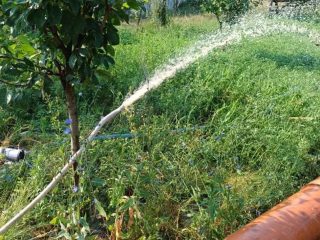 539351703_2471977173179041_5685717912195457537_n