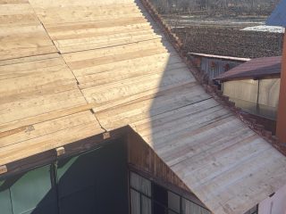 8804709e-46fb-4ade-bc34-9877b28e60a1-1