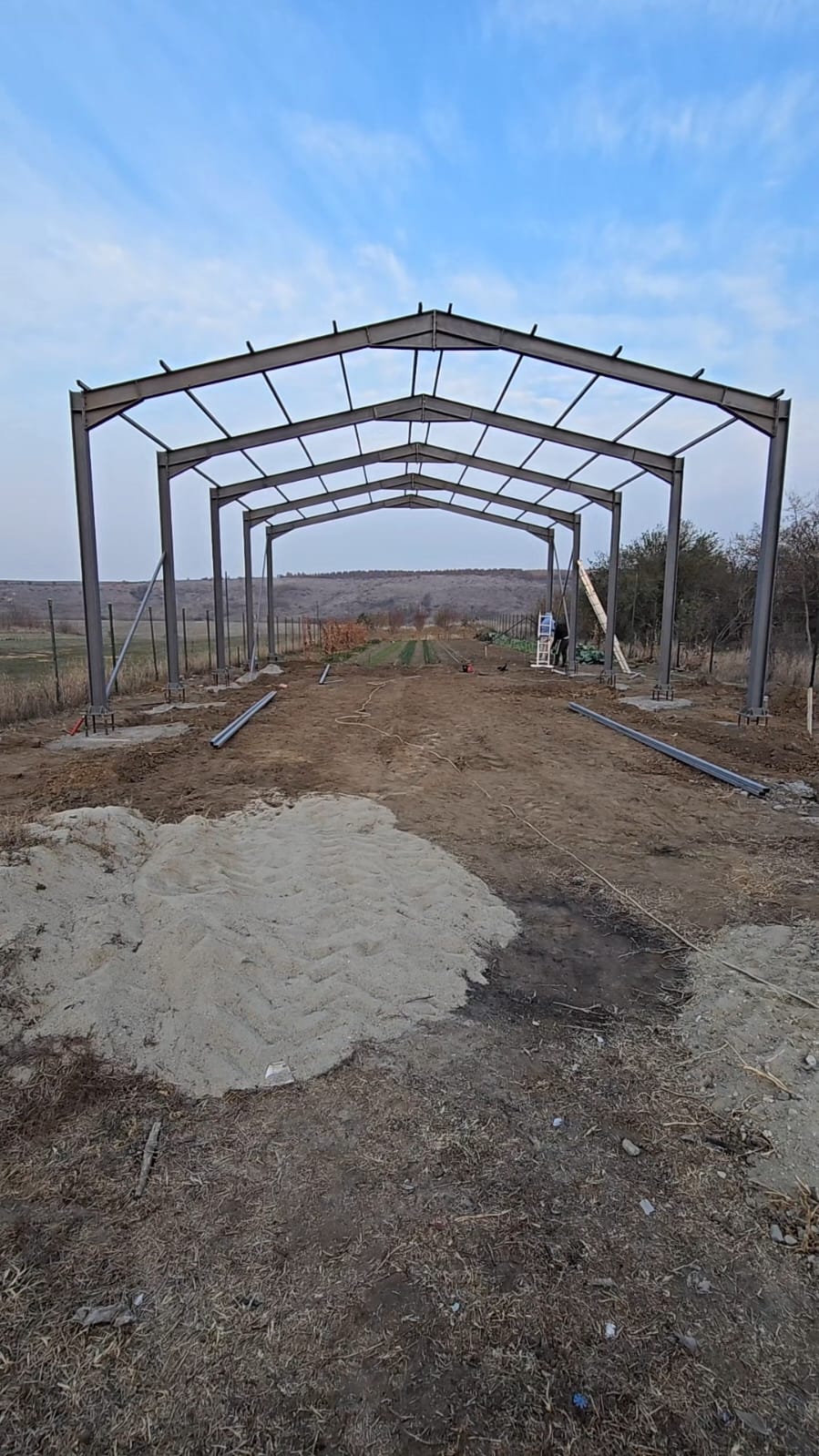 Hale metalice profesionale