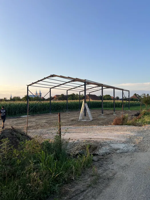 Vand structura metalica 10x12x4