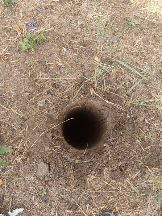 Foraje puțuri apa Rosiori de Vede, Teleorman