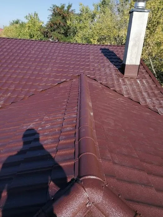 Acoperișuri și reparatii complete Petrosani