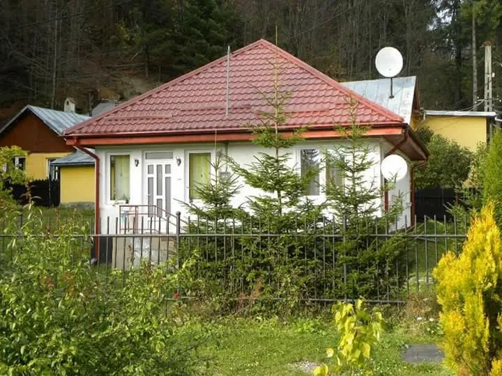 Reparati Acoperisuri de Urgenta dulgherie,mansardari, astereala Suceava